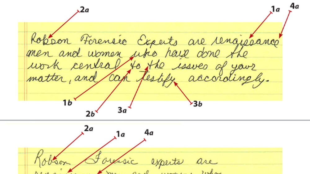 Adli Belge İnceleme Nedir?